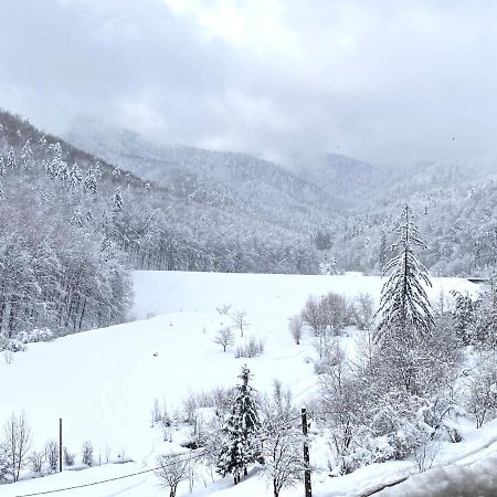 Nature View Apartment Brașov Exterior foto