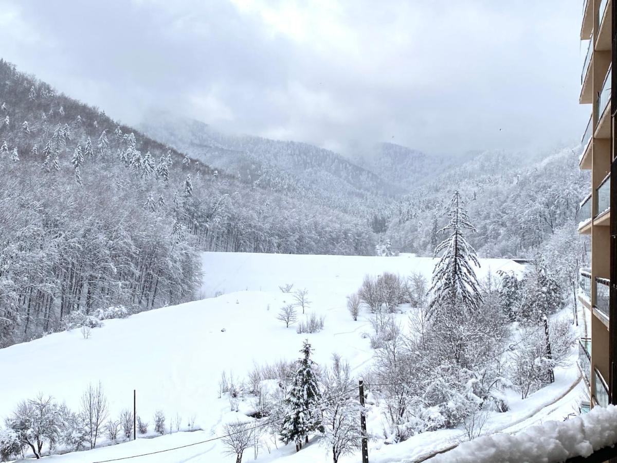 Nature View Apartment Brașov Exterior foto